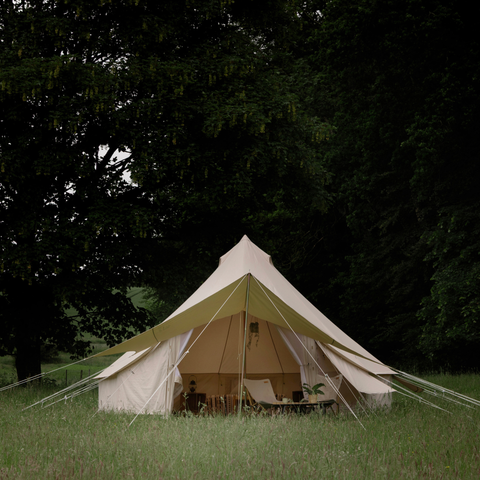 Amaroq Panorama Large